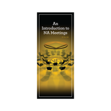 IP No. 29 - An Introdution to NA Meetings