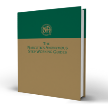 The NA step working Guides