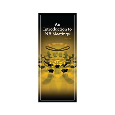 IP No. 29 - An Introdution to NA Meetings