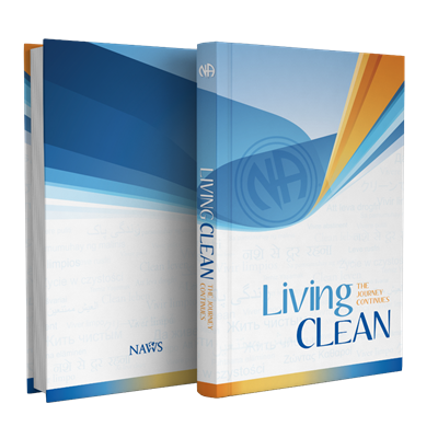 Living Clean - The Journey Continues Hardcover